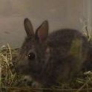 Meet your Posher, Stephen